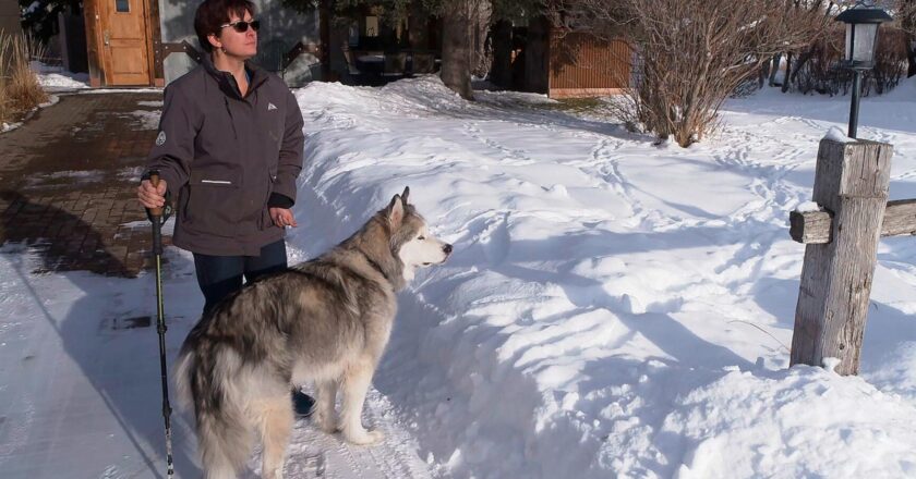 Miraculous Survival: Montana Woman Reflects on Surviving Brutal Shooting and Forgiving Her Attacker