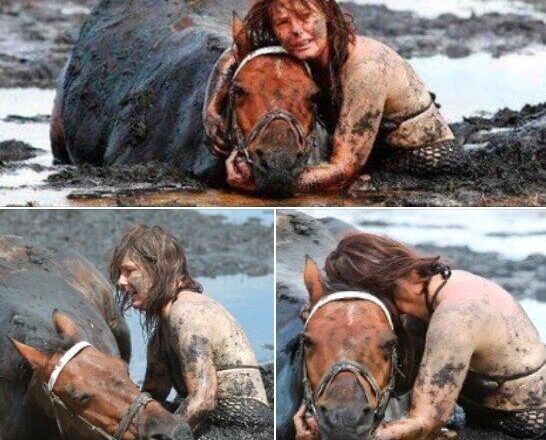 For 3 hours woman stays with trapped horse – then a farmer does everything he can to save its life