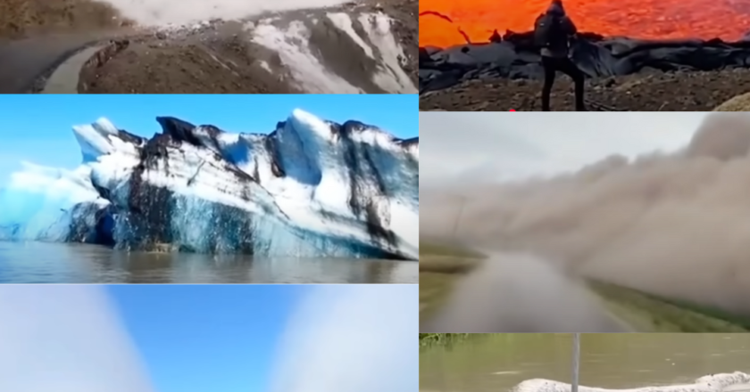 70 Most Unbelievable Nature Moments Ever Caught on Camera: A Visual Journey into the Wild”