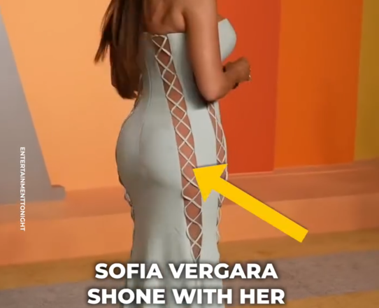 Sofía Vergara’s incredible Oscar look.