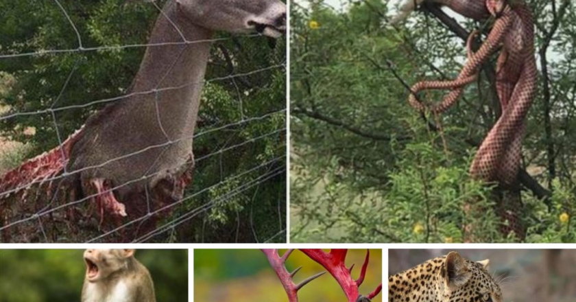 40+ Mother Nature Pics Proving the World Is Scary