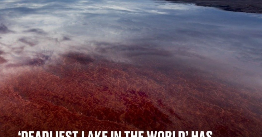 Deadliest lake in the world’ has mysterious secret that turns animals to ‘stone’
