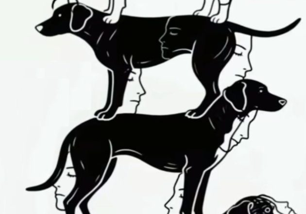 Find all hidden faces in the picture